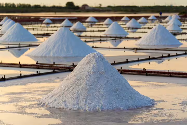 Scenic view of traditional salt pans in Aveiro, Portugal, reflecting golden light, featured on private tour from Lisbon.