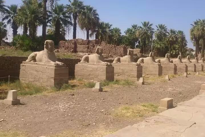 Avenue of Sphinxes in Luxor on a private day tour from Sharm El Sheikh, ancient statues and palms