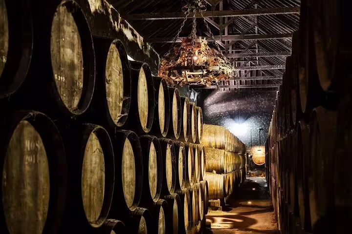 Atmospheric wine cellar tour with rows of aged barrels, capturing the essence of Setúbal Moscatel production.