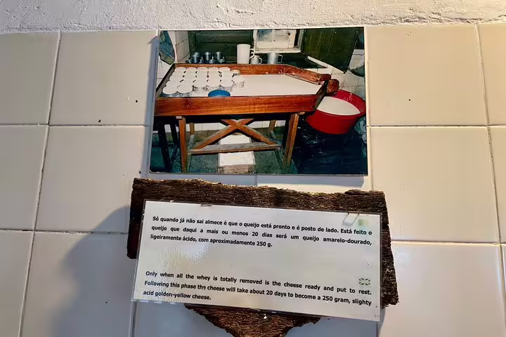 Azeitão cheese making process displayed with instructions, part of a private workshop including wine tasting and Sesimbra tour.