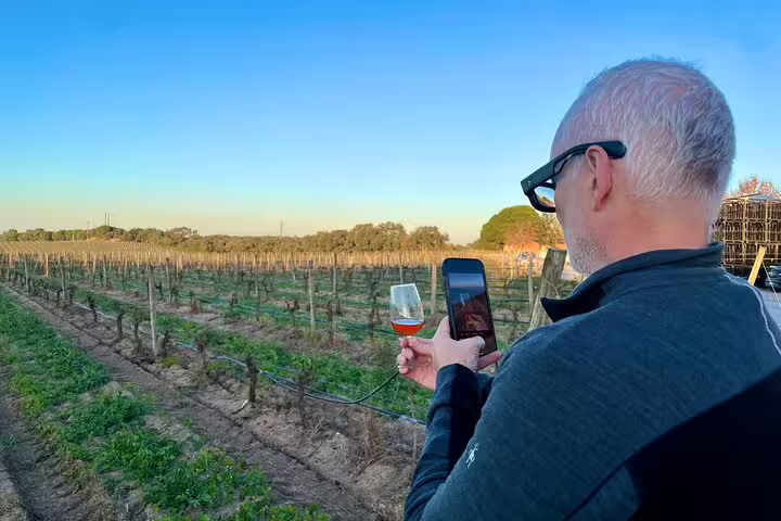 Man capturing vineyard view with wine glass during Private Azeitão Cheese Workshop and Sesimbra Tour for a memorable experience.