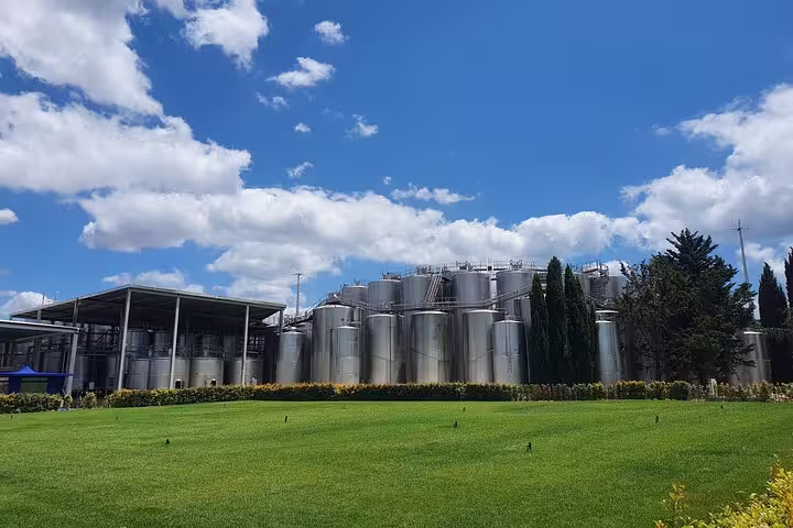 Scenic view of a winery in Azeitão with stainless steel tanks, lush green lawns, and a clear blue sky on a Portugal day tour.