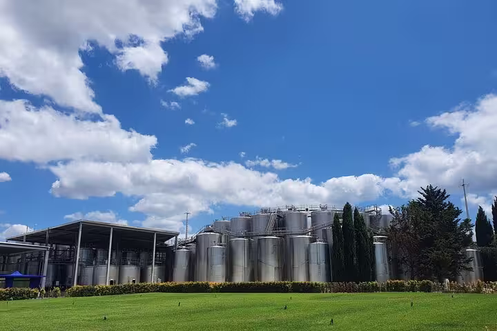 Stainless steel wine vats under a bright blue sky at a winery in Azeitão, Portugal, part of the Arrábida tour.