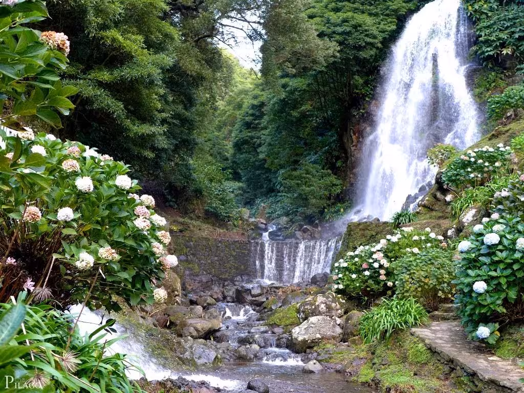 Scenic hydrangea-lined waterfall and rocky stream in the Azores countryside visited on the Northeast Jeep safari route