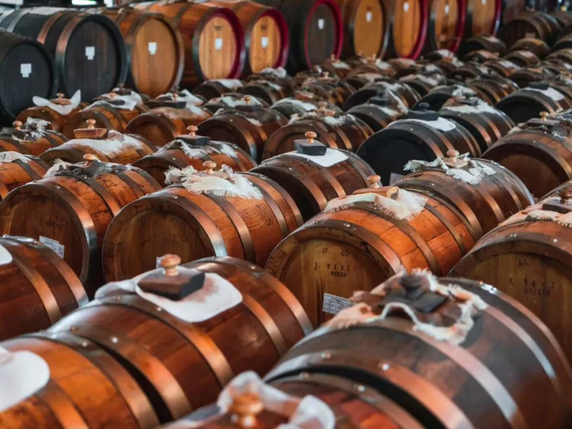 Rows of aging wooden barrels in a Modena acetaia during traditional balsamic vinegar production tour and tasting