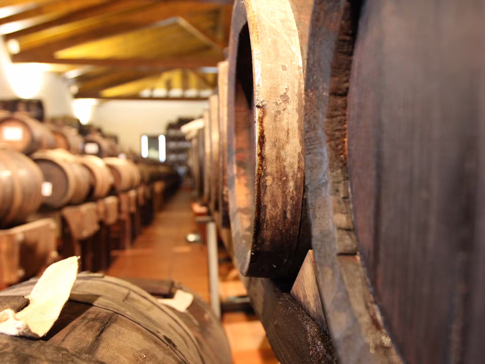 Rows of wooden aging barrels in a Modena acetaia during balsamic vinegar production and tasting tour