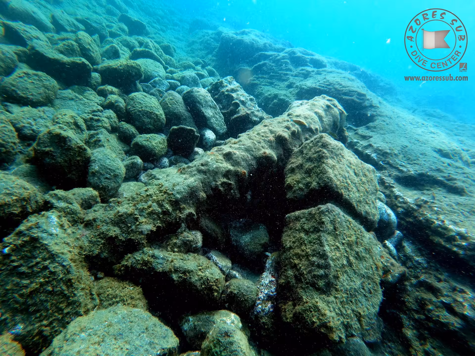 Rocky seabed and clear blue water at a coastal swim spot, ideal for pool and sea baptism ceremony photos