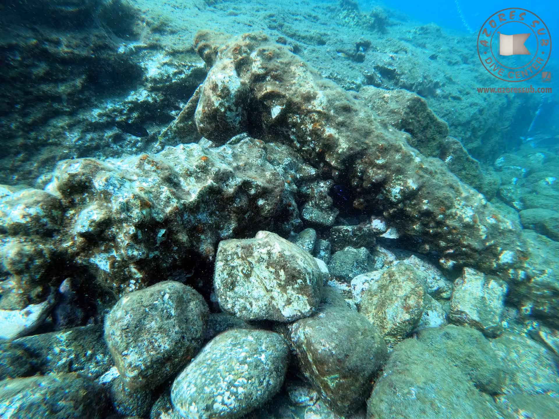 Rocky underwater seafloor scenery on Baptism at Sea scuba tour, ideal for beginner ocean discovery dive