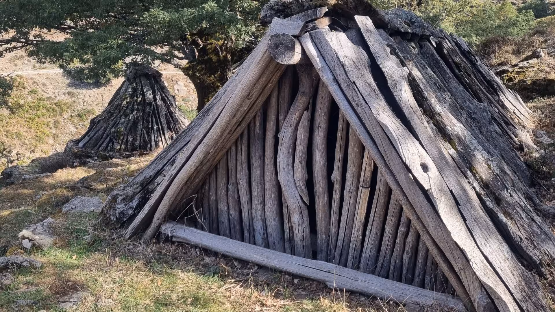 Close-up of rustic wooden shepherd huts nestled in the Barbagia countryside.