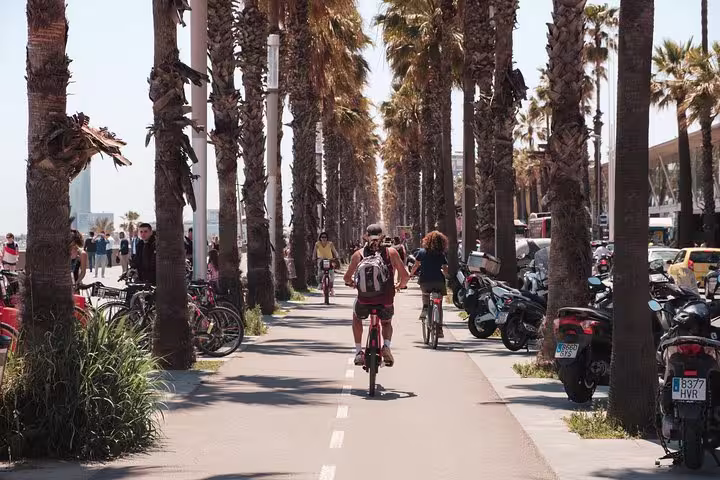Cyclists enjoy a sunny ride along a palm-lined bike path in Barcelona, highlighting urban mobility and sustainable city planning.