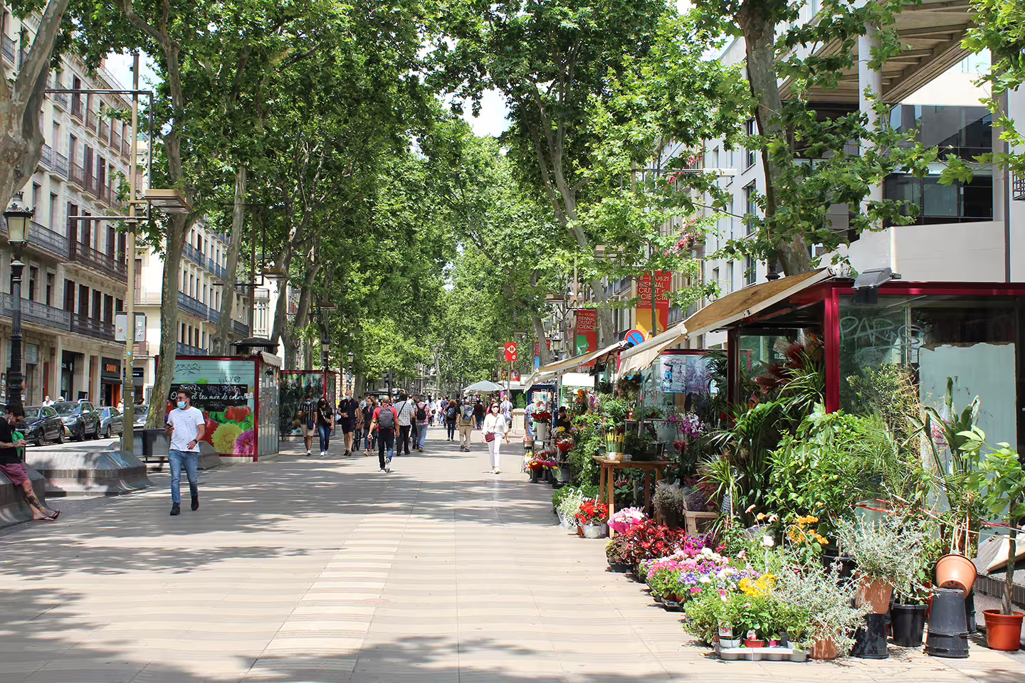 Stroll down Las Ramblas in Barcelona, lined with lush trees and colorful flower stalls, on our walking and boat tour.