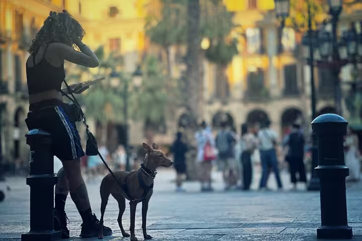 A woman with her dog pauses to check her map in the bustling Old Town square, ideal for a private walking tour.