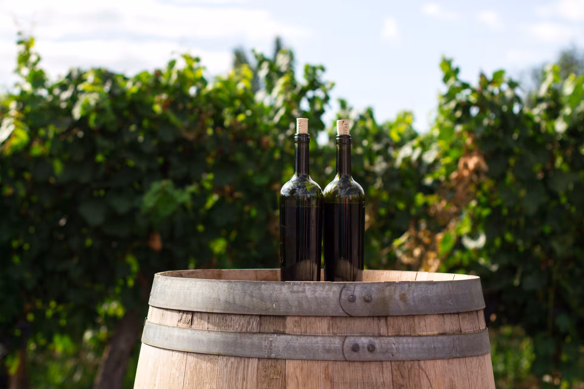 Wine bottles on oak barrel in a Catalonia vineyard, half-day Barcelona wine tasting tour stop