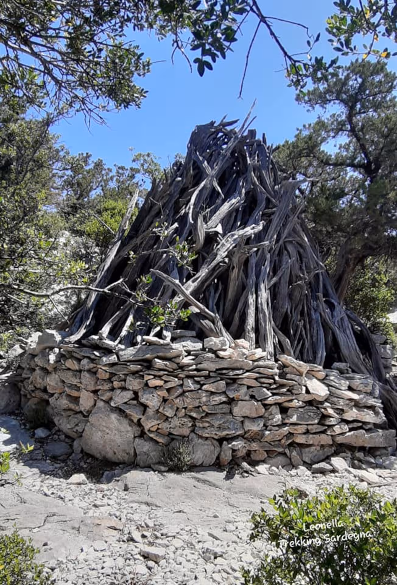 Traditional stone and wood structure surrounded by lush greenery on the Cala Goloritzè trekking trail.