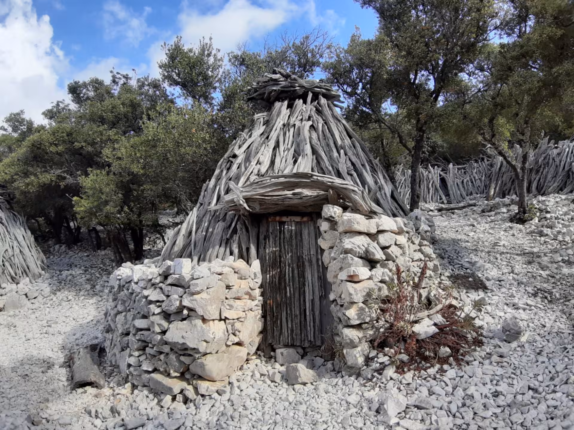Traditional stone and wood hut nestled in the serene forest on the Baunei trek to Cala Mariolu.