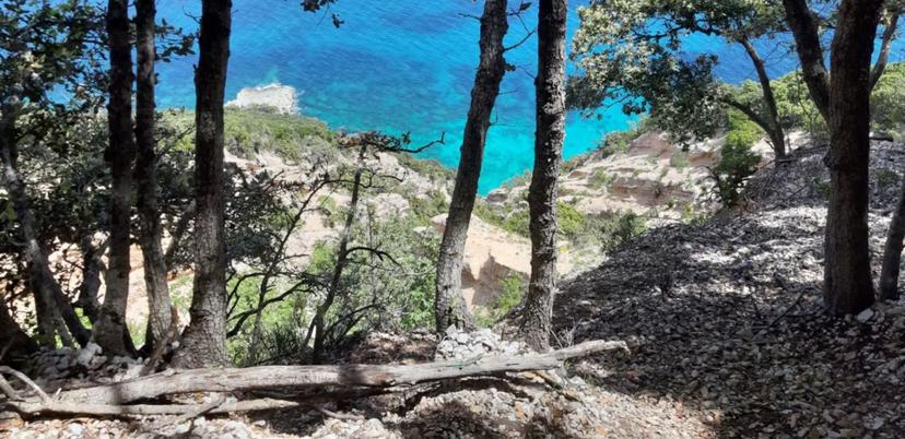 Breathtaking view of turquoise waters from a forested cliff on the Baunei trek to Cala Mariolu, Sardinia.