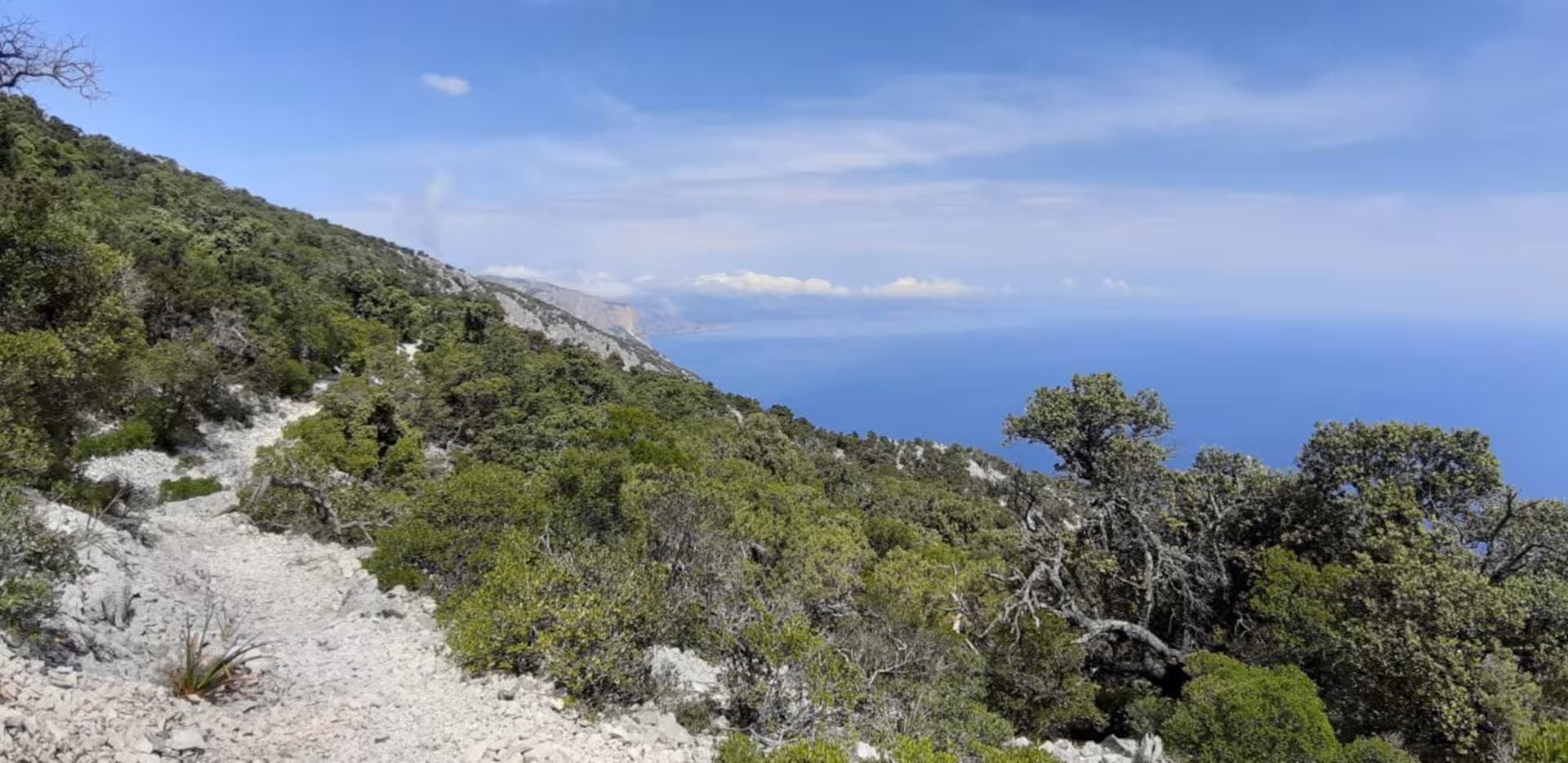 Scenic hiking path through lush greenery with panoramic views of Cala Mariolu's coastline in Baunei, Sardinia.