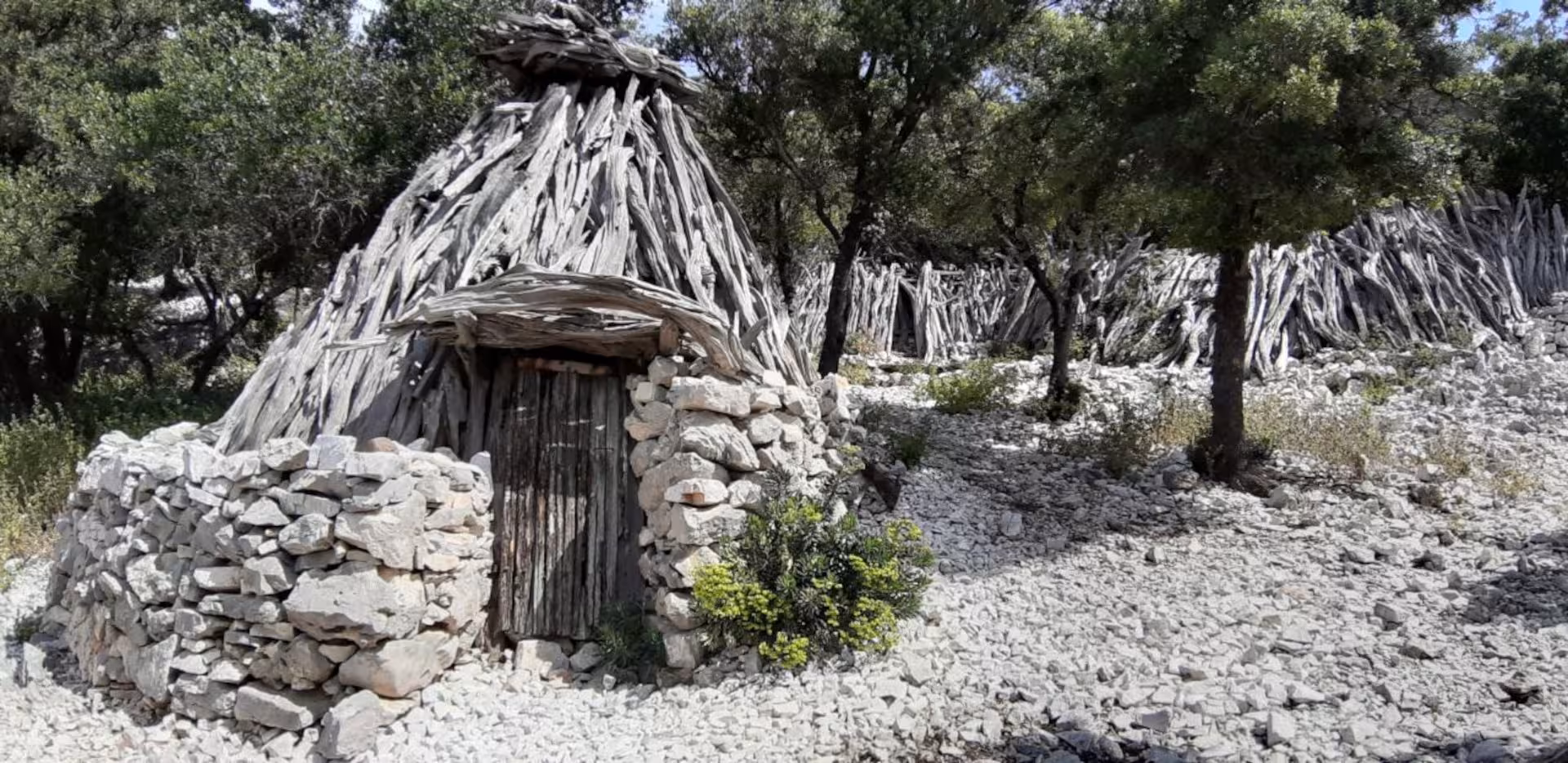 Traditional stone and wood hut nestled in the forest along the scenic Baunei trekking trail to Cala Mariolu.