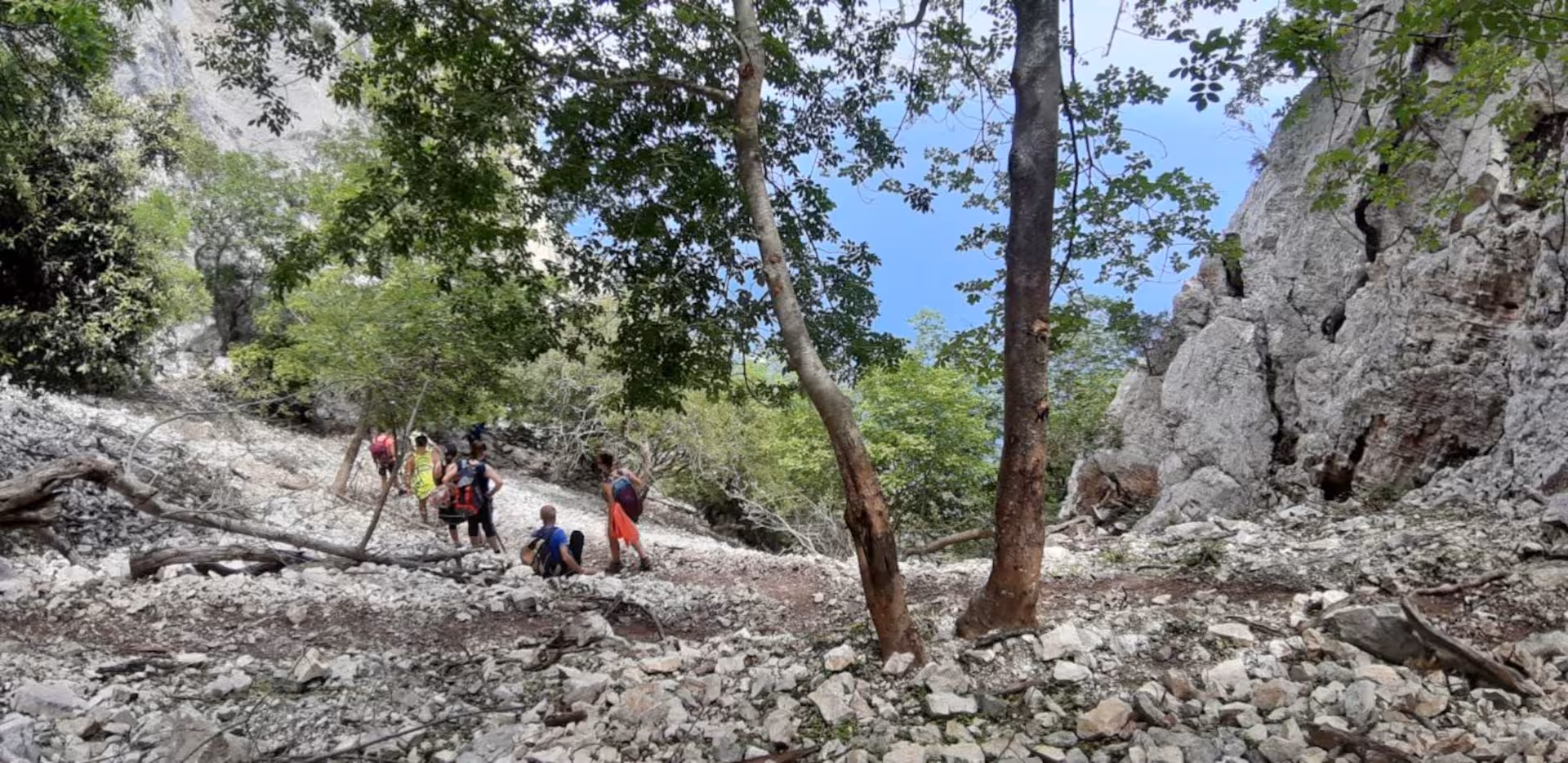 Hikers navigating rocky terrain under lush trees on Cala Mariolu trail in Baunei, Sardinia.