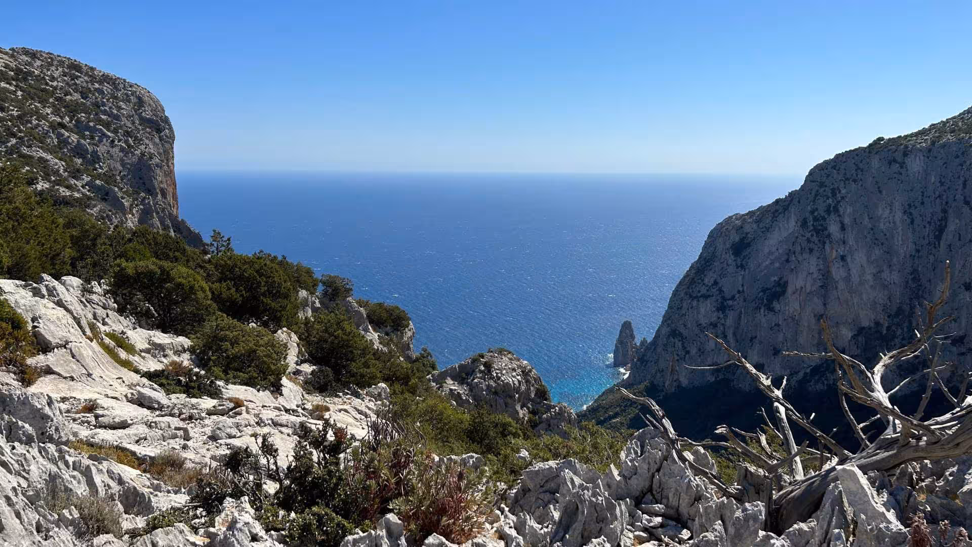 Stunning view from Baunei's Punta Salinas, showcasing rugged cliffs and expansive blue Mediterranean Sea.