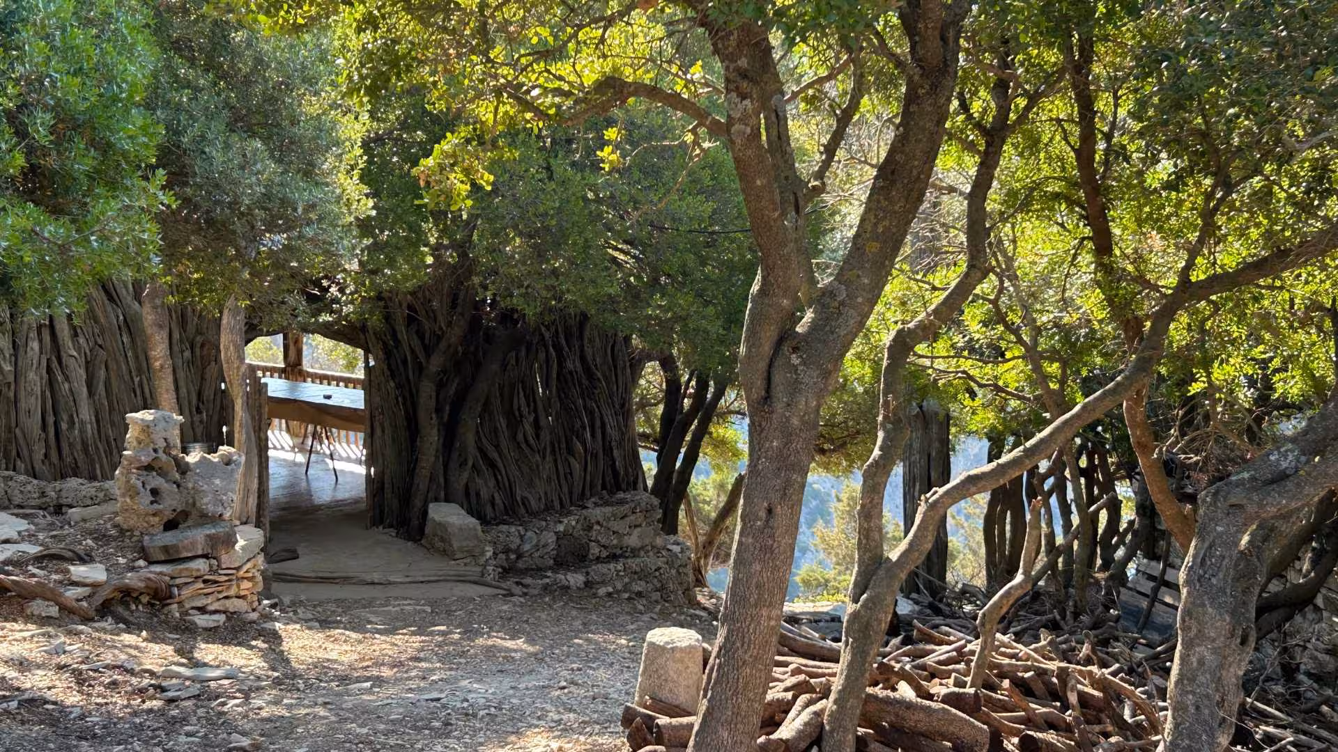 Rustic woodland path leading to a scenic overlook on the Punta Salinas buggy tour from Baunei.