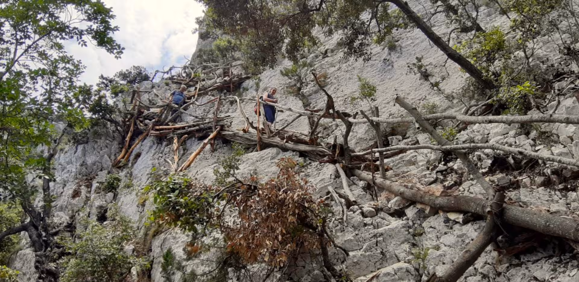 Adventurous hikers navigate a rugged path on the Baunei trek to Cala Mariolu, surrounded by lush greenery.