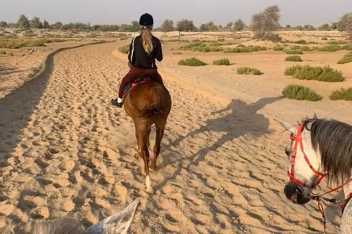 Rider on horseback trekking sandy desert trail near Hurghada, part of one-hour beach horse ride with transfer
