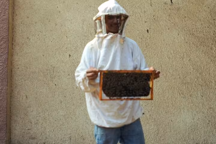 Local beekeeper holding honeycomb frame in Dahshur countryside, Egypt, hands-on farmer day tour with locals