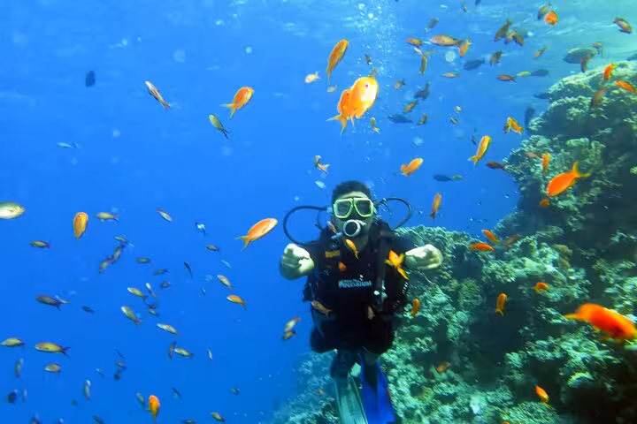 Beginner scuba diver exploring a vibrant coral reef with tropical fish on a discovery dive experience