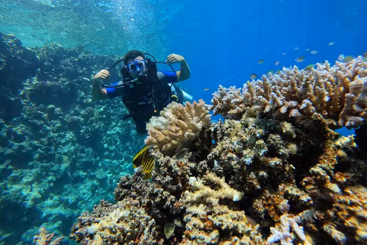 Beginner scuba diver exploring a vibrant coral reef on a discovery dive, clear blue water and tropical fish