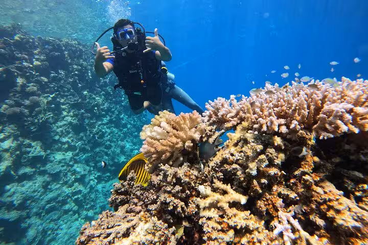 New diver gives thumbs up beside healthy coral garden on a guided scuba discovery dive, ideal for beginners