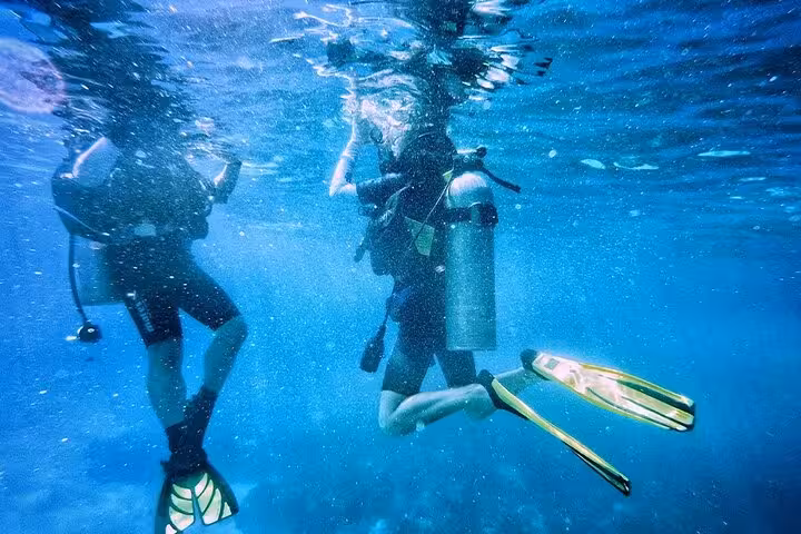 Beginner scuba diving session in Sharm El Sheikh, Red Sea water sports experience on guided adventure tour