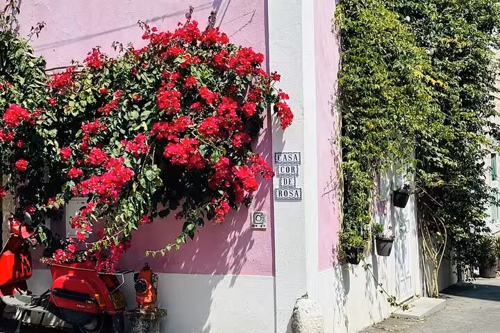 Discover vibrant pink walls adorned with blooming red flowers on a charming street corner in Belém.
