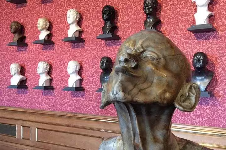 Diverse busts showcased on a red wall in Belvedere Palace, highlighting artistic heritage on art history tour.