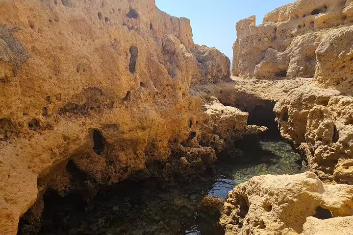 Close-up of textured rock formations and clear water pools in the Algarve, perfect for exploring on a Benagil tour.