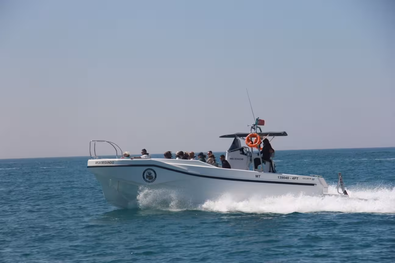 High-speed Benagil & Dolphins tour boat cruising the Algarve coast, taking passengers to sea caves and dolphin spotting areas