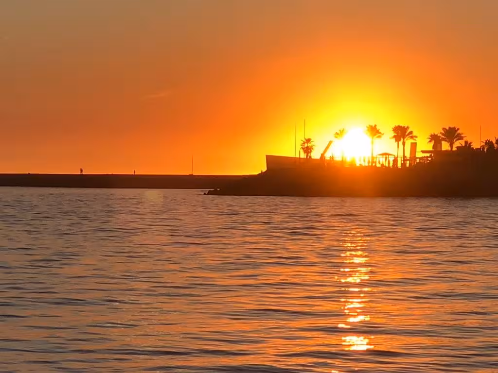 Beautiful sunset over the ocean with palm trees silhouetted, seen on the Benagil Sunset Ophelia tour.