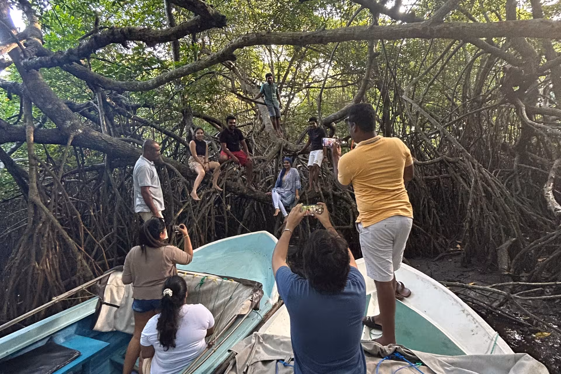 Guests pose on tangled mangrove roots during Bentota River Safari boat tour through Sri Lanka’s wetlands