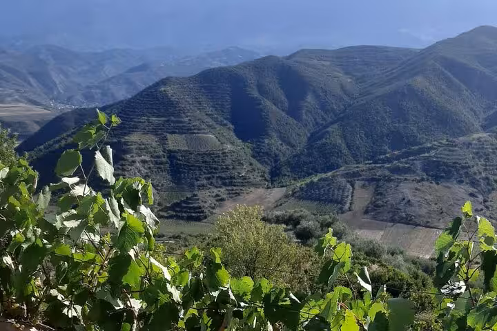 Stunning view of terraced vineyards and lush mountains under a clear blue sky in Berat, perfect for wine tours.