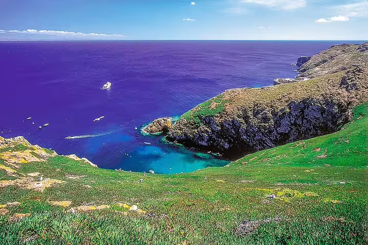 Stunning view of Berlengas Island's rugged cliffs and turquoise waters, perfect for a private full-day tour from Lisbon.