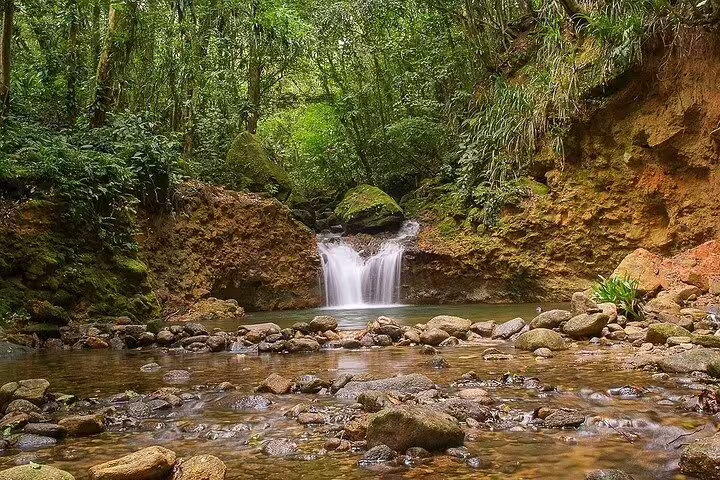 Serene waterfall cascading into a clear rocky pool in the heart of Bertioga's lush rainforest, perfect for nature lovers.