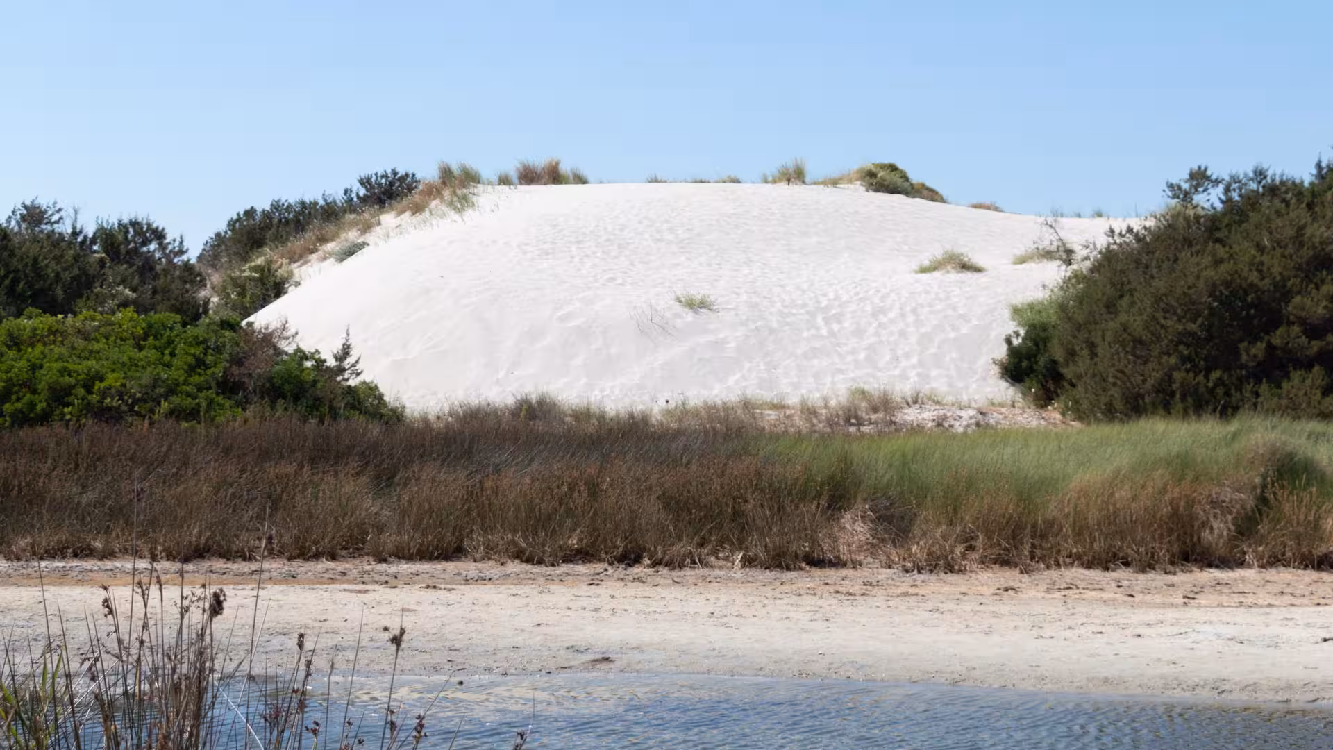 Pristine white sand dune in Biderosa Nature Reserve, Sardinia, surrounded by lush greenery and clear blue skies.