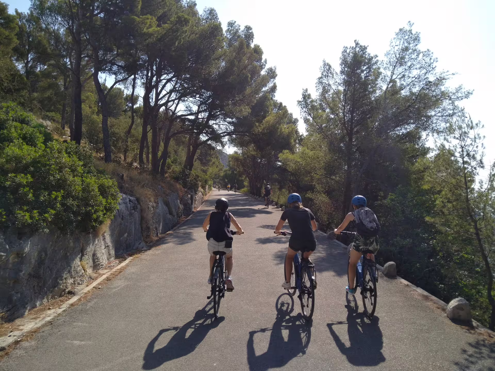 Group cycling through pine forest near Split on Bike Beer and Poljud Stadium Tour along quiet coastal roads