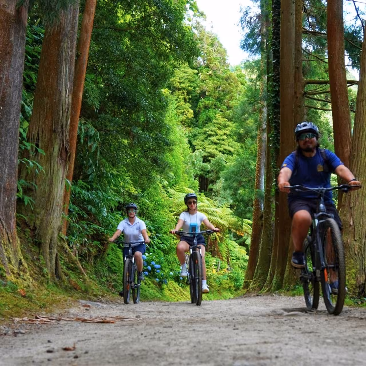 Small group biking on a lush forest path in Furnas, São Miguel Azores, half-day guided bike tour