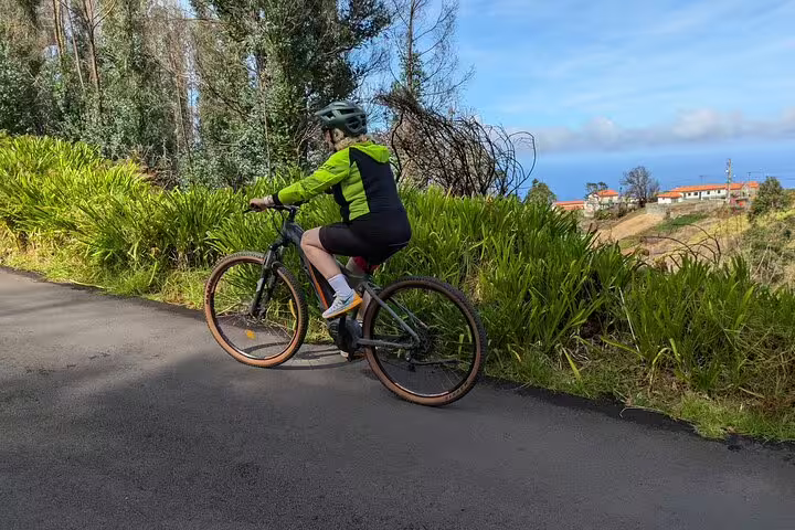 Cyclist enjoys scenic ride on lush, winding roads of Madeira's west coast, perfect for adventurous bike tours and nature exploration.