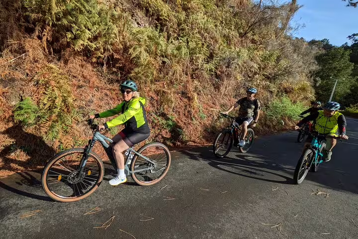 Cyclists enjoy a scenic bike tour along the lush west coast of Madeira, navigating winding paths amidst vibrant greenery.