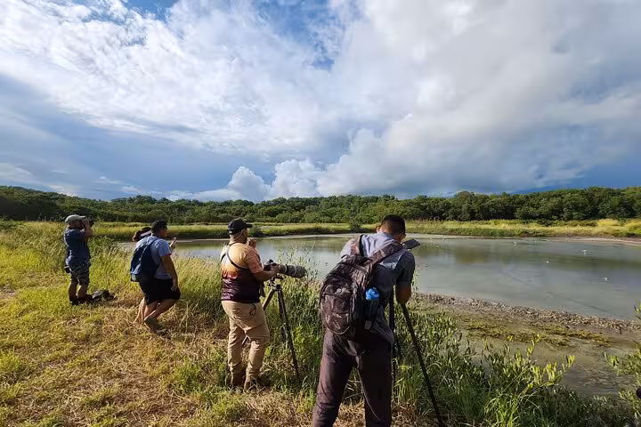 Group of bird watchers observing a tranquil wetland on a half-day bird watching tour.