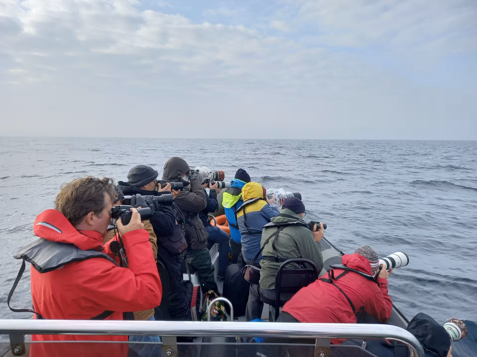 Birdwatchers on a small boat photographing seabirds on an ocean wildlife cruise, guided birdwatching tour experience