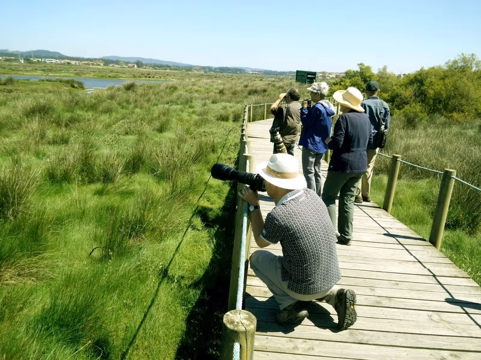Birdwatchers on a wooden path in Oporto capturing wildlife in a lush green marshland with cameras and binoculars.