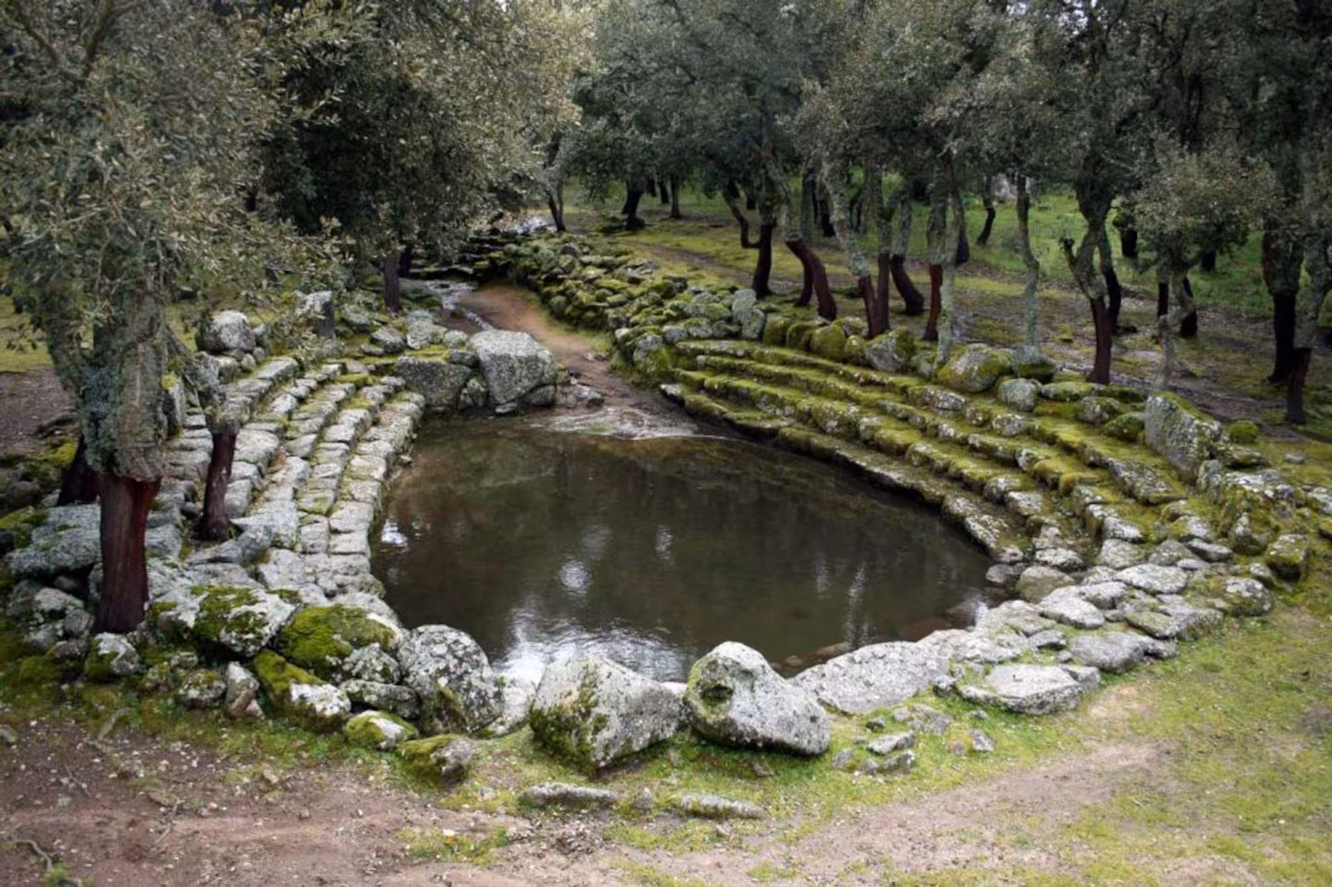 Ancient stone amphitheater surrounded by lush oak trees, a historical site in Bitti for shepherd's day tour.